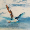 GLAMOUR GULL SECTION - Jane Heyes Artist - LEtoile dArt Narbonne France